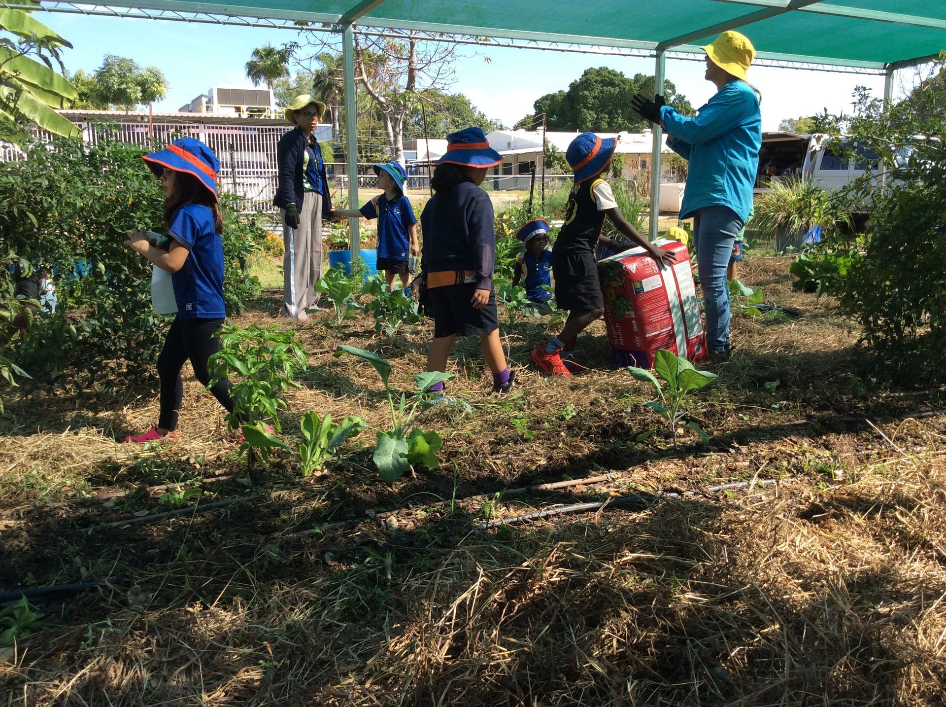 A group of children are working in a garden.