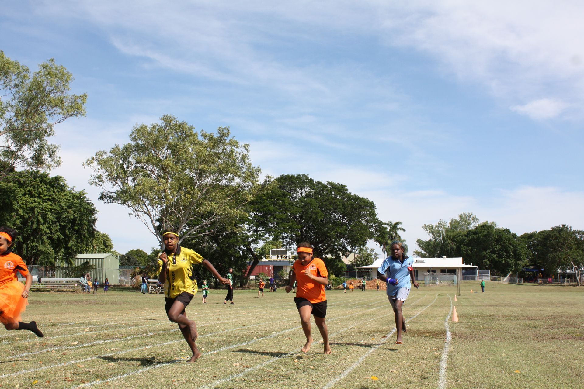 A group of people are running on a field with trees in the background