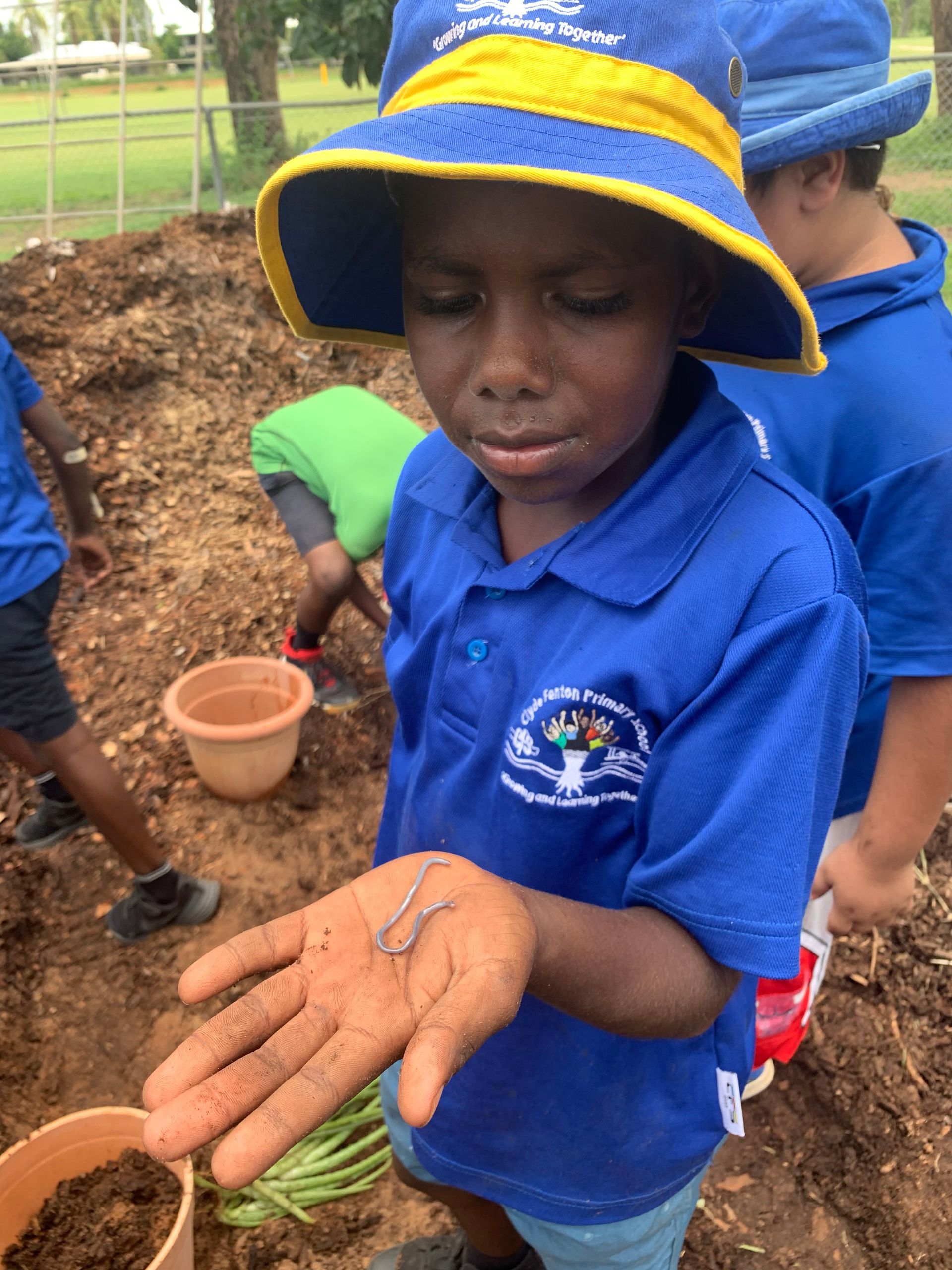 A young boy in a blue shirt is holding a small worm in his hand.