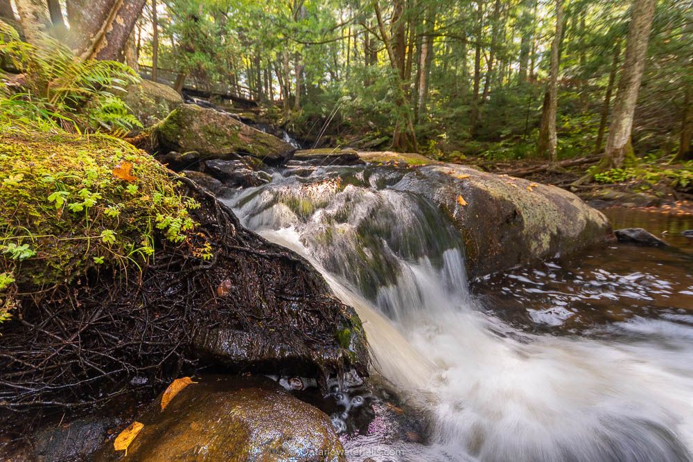 Pott Falls | Waterfalls Ontario | Muskoka Waterfalls