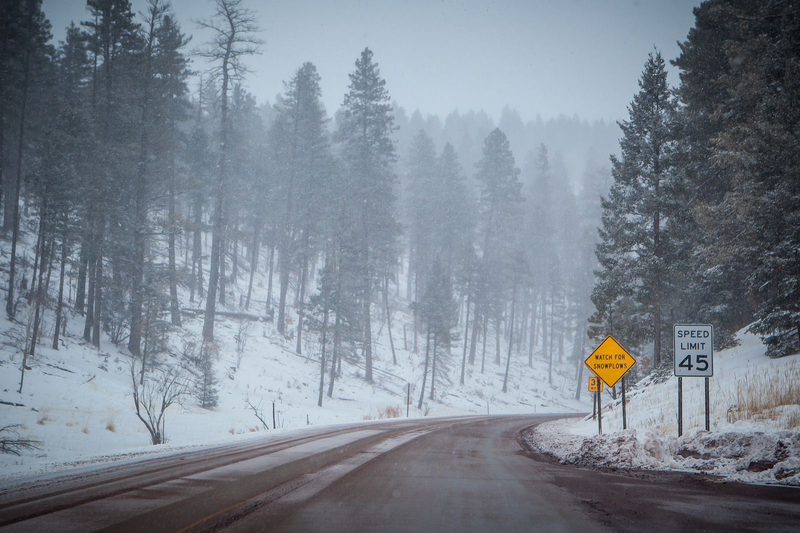 A snowy road with trees on both sides and a speed limit of 45.