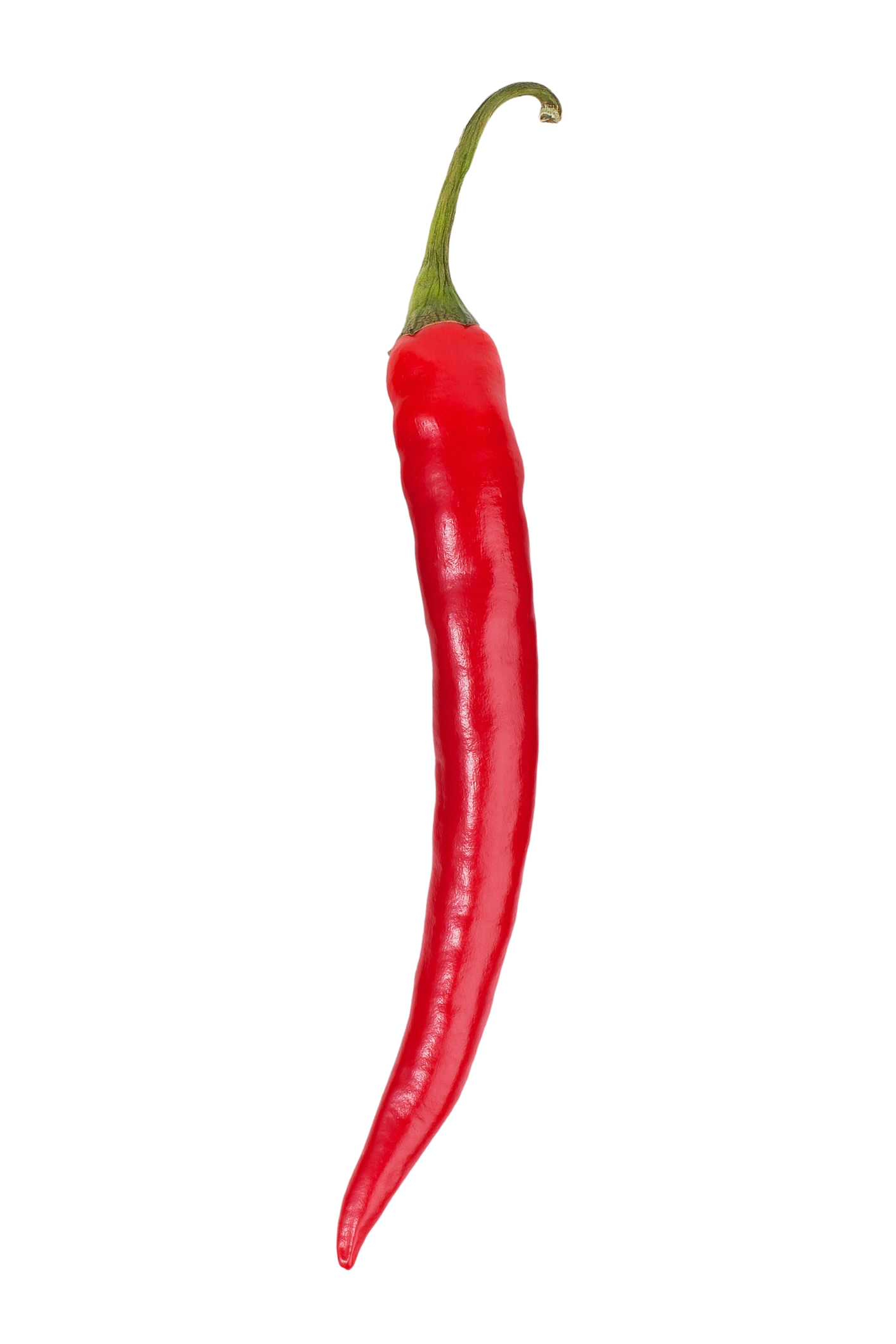 Red chili pepper with green stem, against a white background.