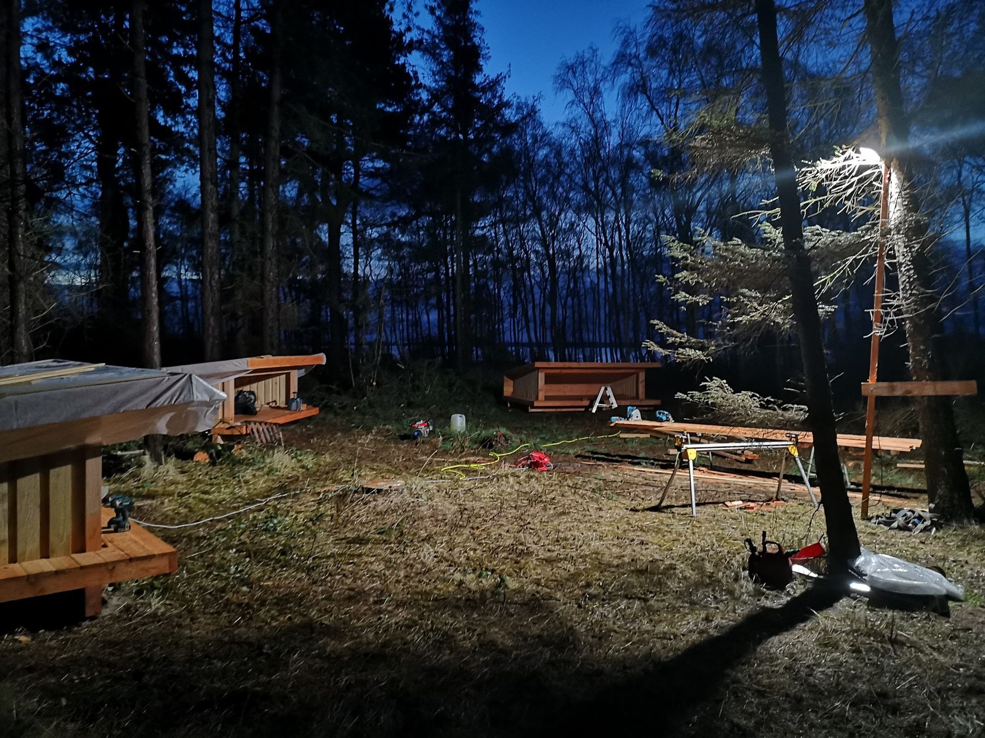 En trækonstruktion midt i en skov om natten