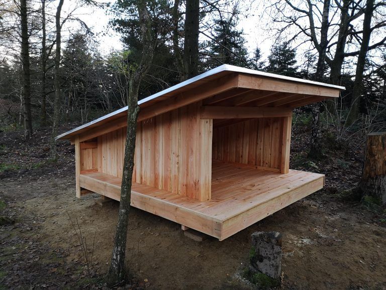 Et hundehus i træ sidder på toppen af en jordbakke i skoven.