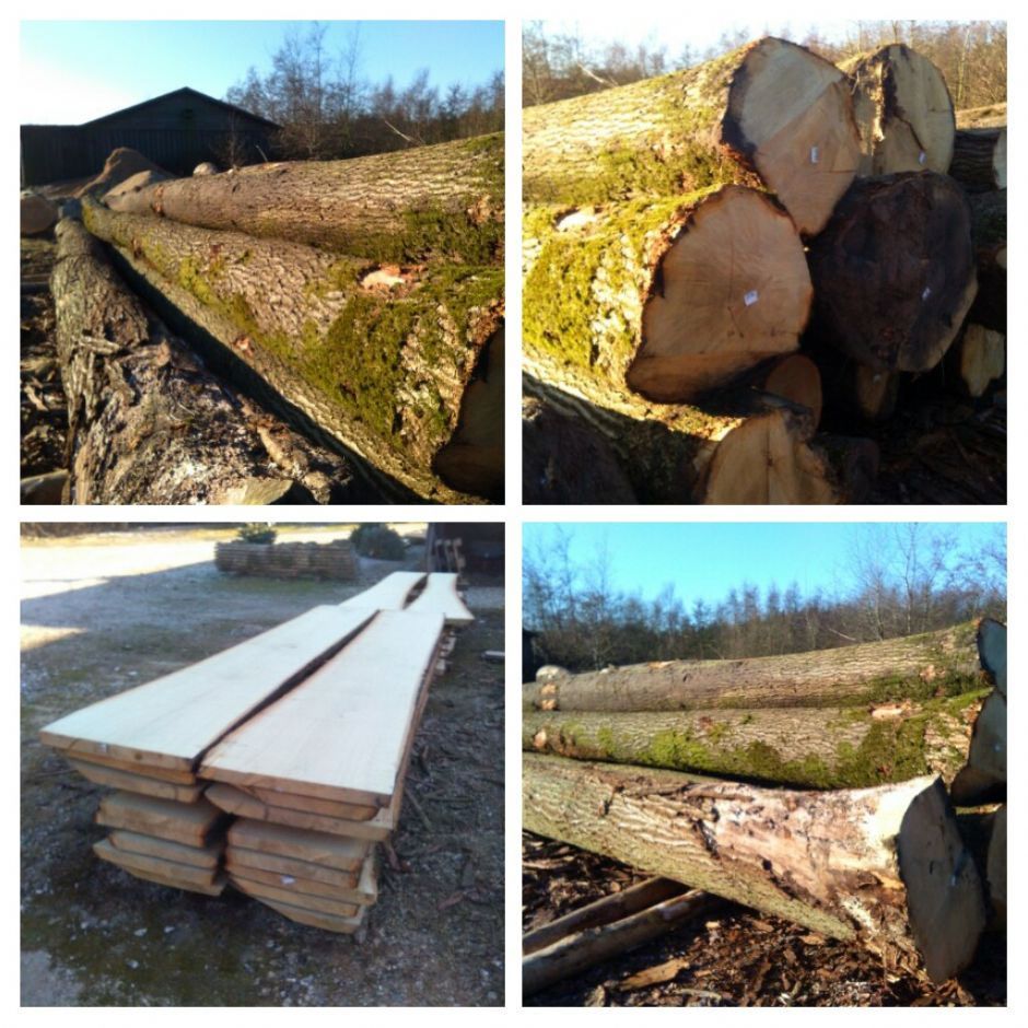En collage af fire billeder af træstammer og brædder