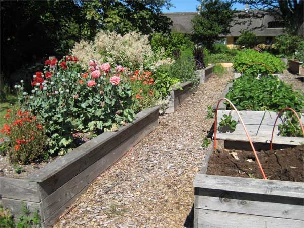 Højbede fyldt med masser af planter og blomster