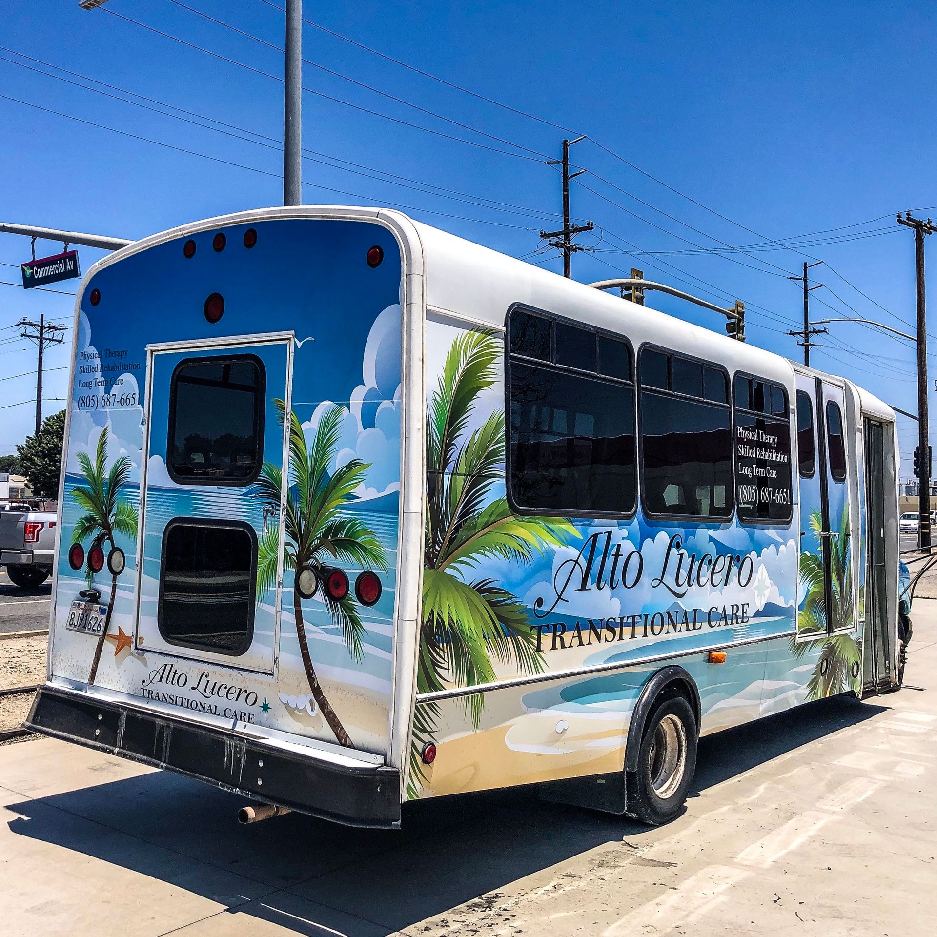 A white bus with palm trees on the side is parked on the side of the road