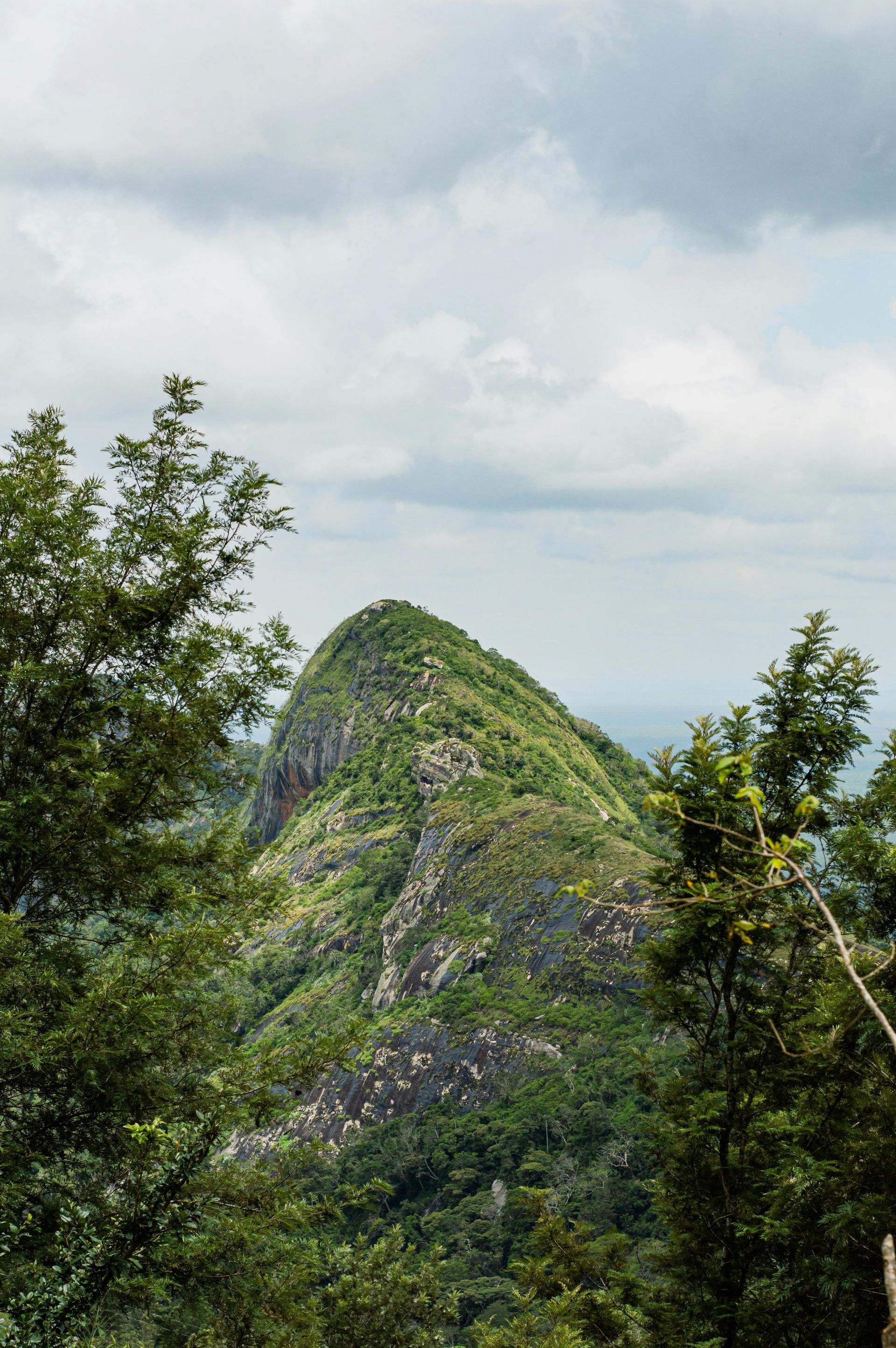 Pico do Selado