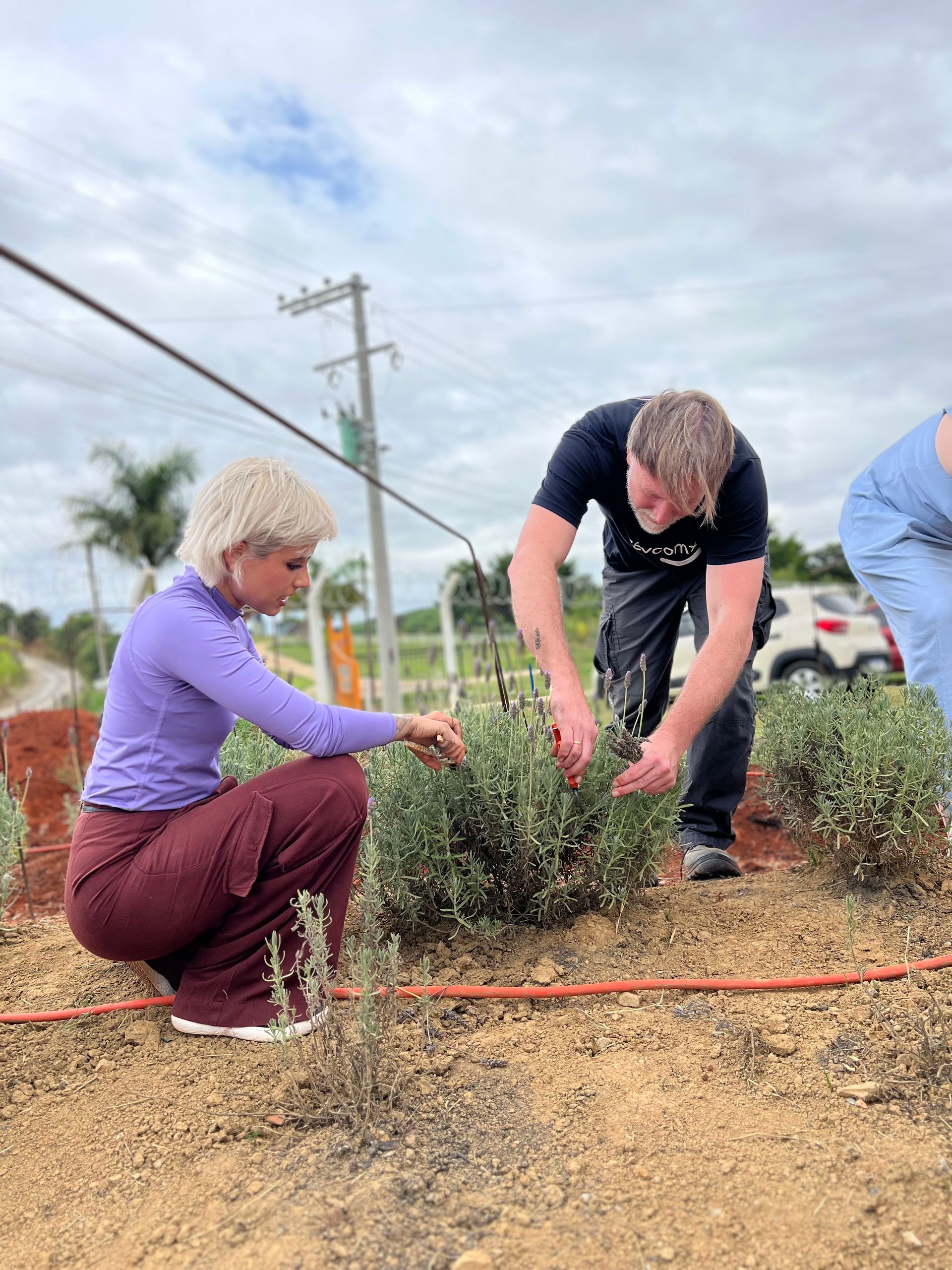 Professora Larissa e aluno na escola da lavanda colhendo lavandas dentata