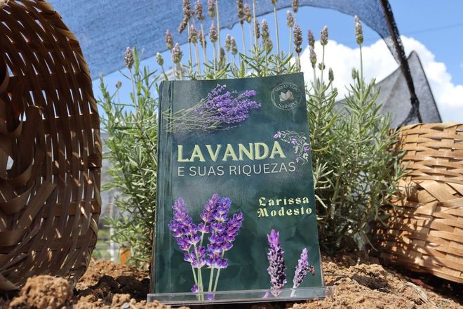 Um livro sobre lavanda está em frente a um arbusto