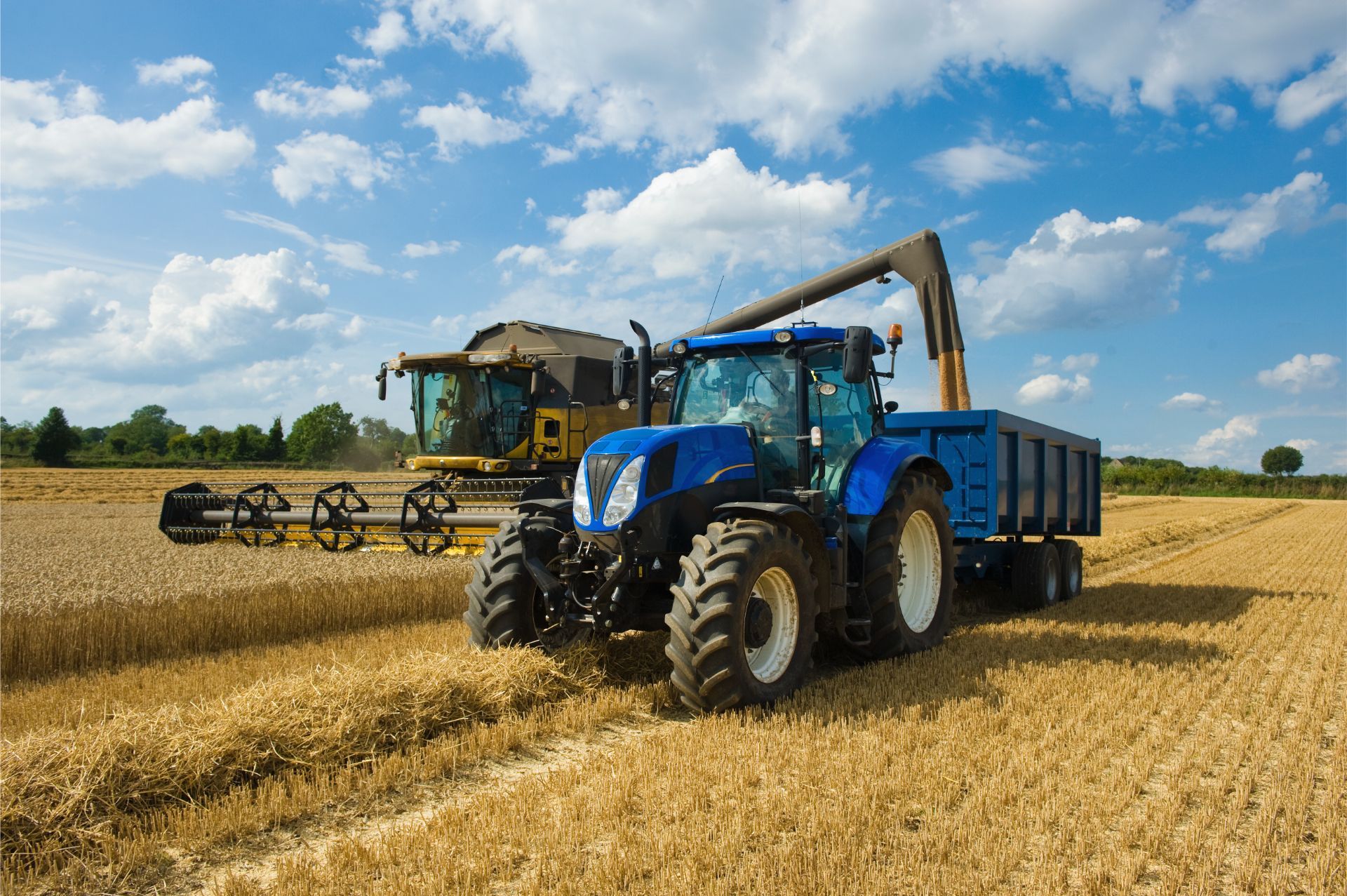 A blue tractor is driving through a wheat field next to a yellow combine harvester.