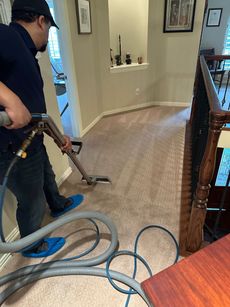 Woman vacuuming a patterned rug in a room, the vacuum cleaner is yellow.