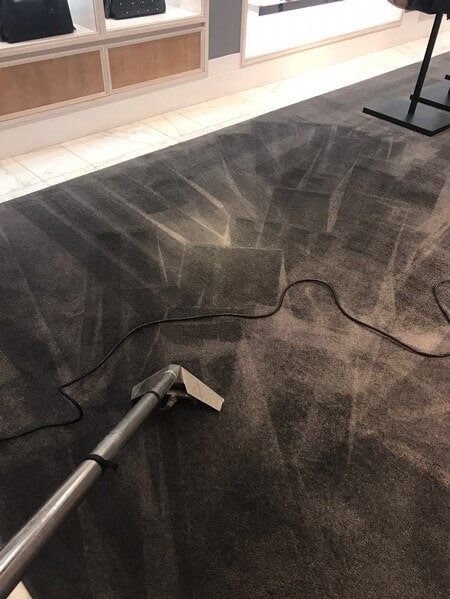 Carpet cleaning in progress; dark carpet with visible cleaning path, a cleaning tool, and power cord.