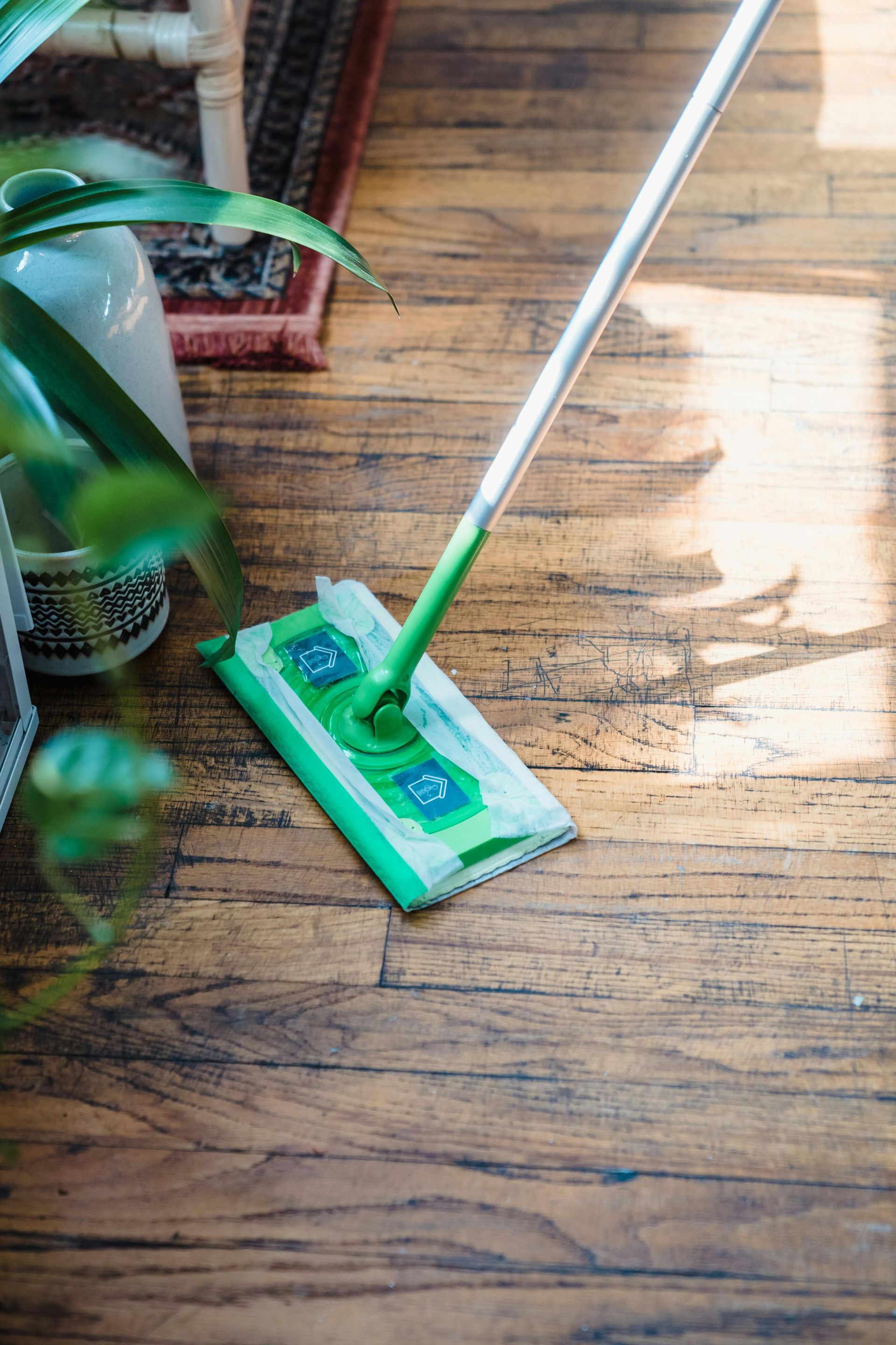 Green and white mop cleaning a wooden floor, next to a potted plant.