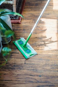 Green and white mop cleaning a wooden floor, next to a potted plant.