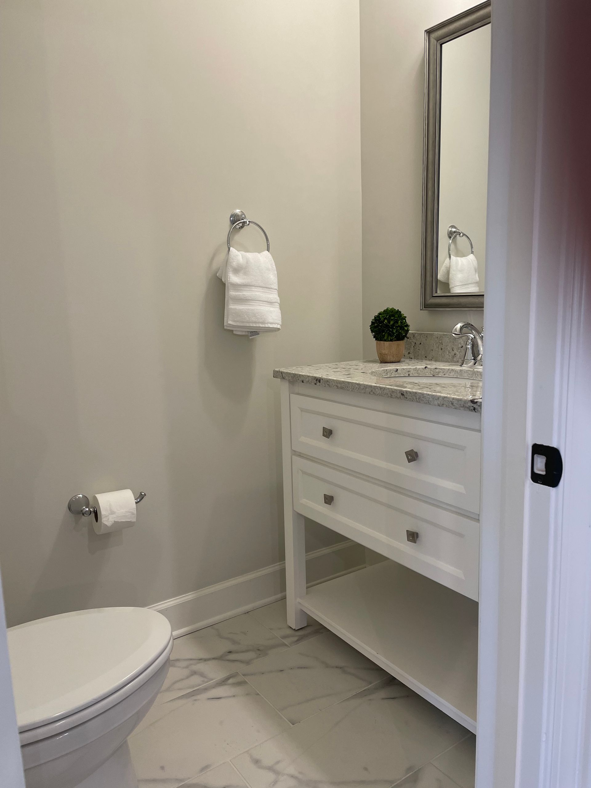 Powder room with white vanity, toilet, and gray walls; small green plant, towel, and mirror.