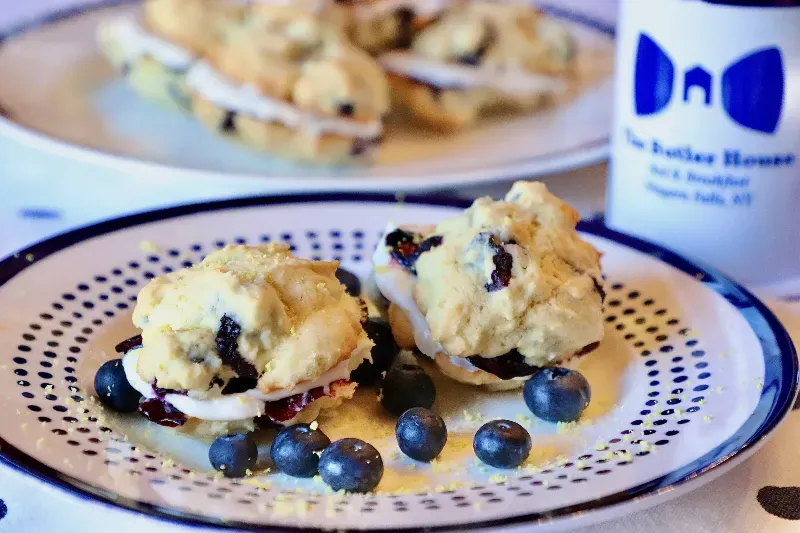 A close up of a plate of food with blueberries on it