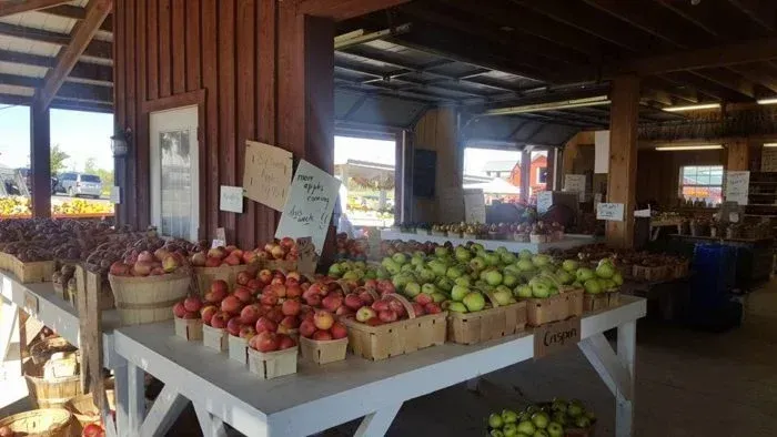 A bunch of apples are sitting on a table in a store.