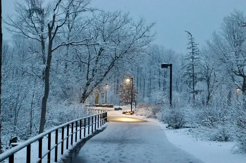 A snowy park with a bridge and trees covered in snow.