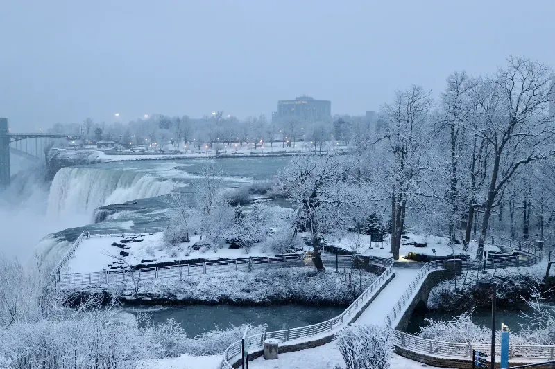 A waterfall is covered in snow and trees are covered in snow.