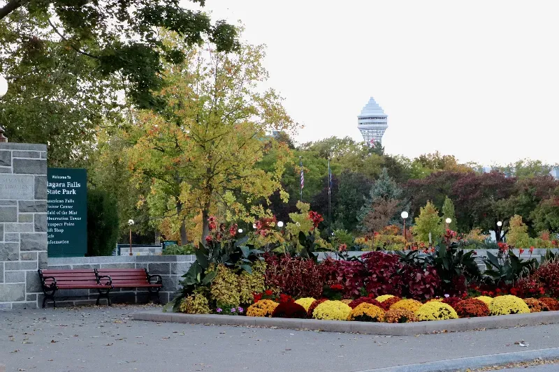 A park with flowers and trees and a water tower in the background