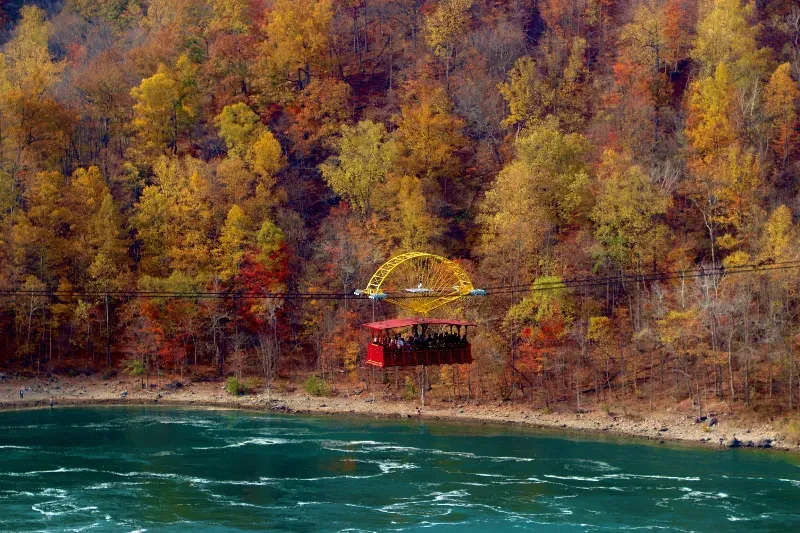 A ferris wheel is flying over a body of water surrounded by trees.