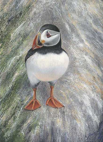 A puffin with a black back, white chest, and colorful beak stands on a textured gray cliffside.