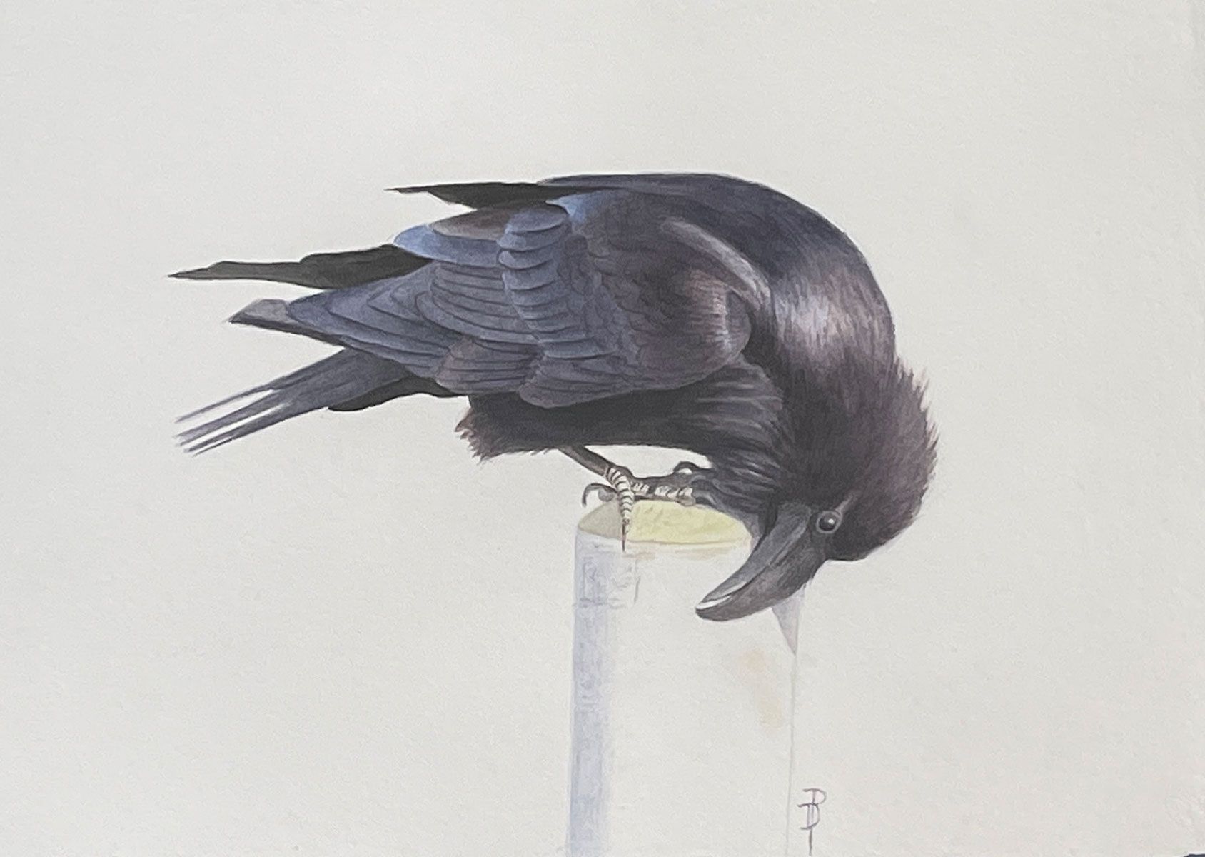A black crow perches on a white post, looking down while its body is hunched forward.