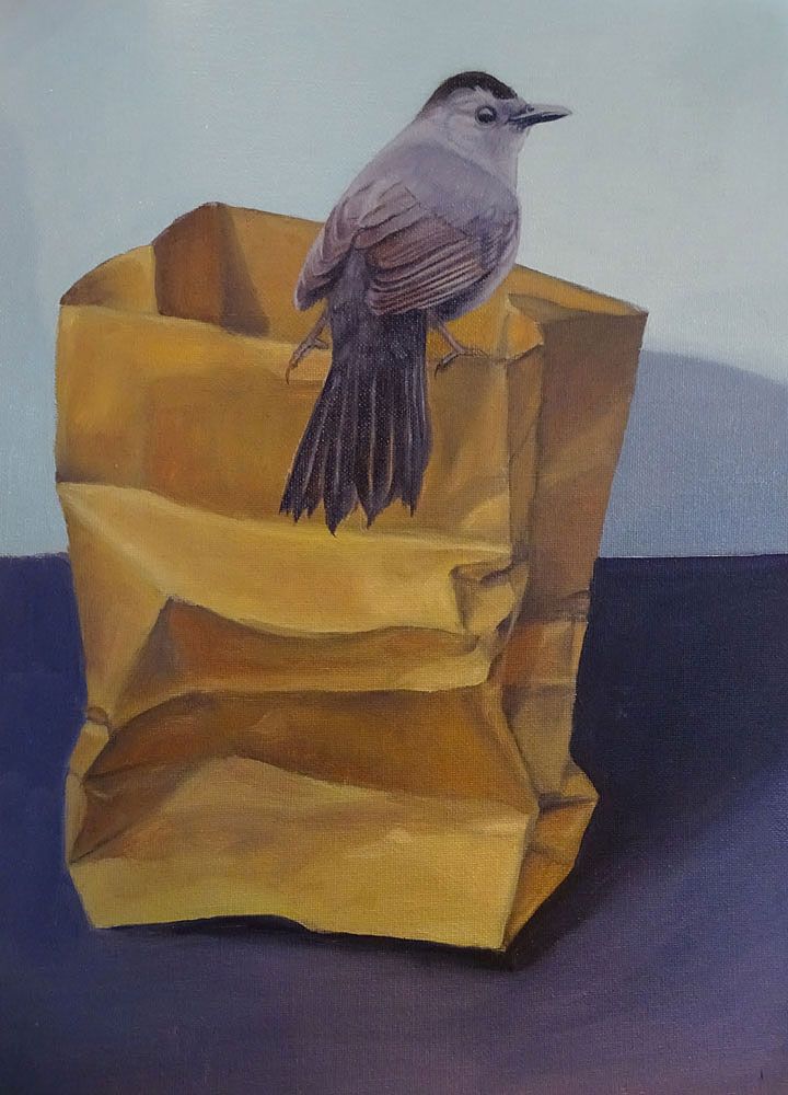 A gray bird with a black cap perched on the rim of a crumpled brown paper bag against a simple background.