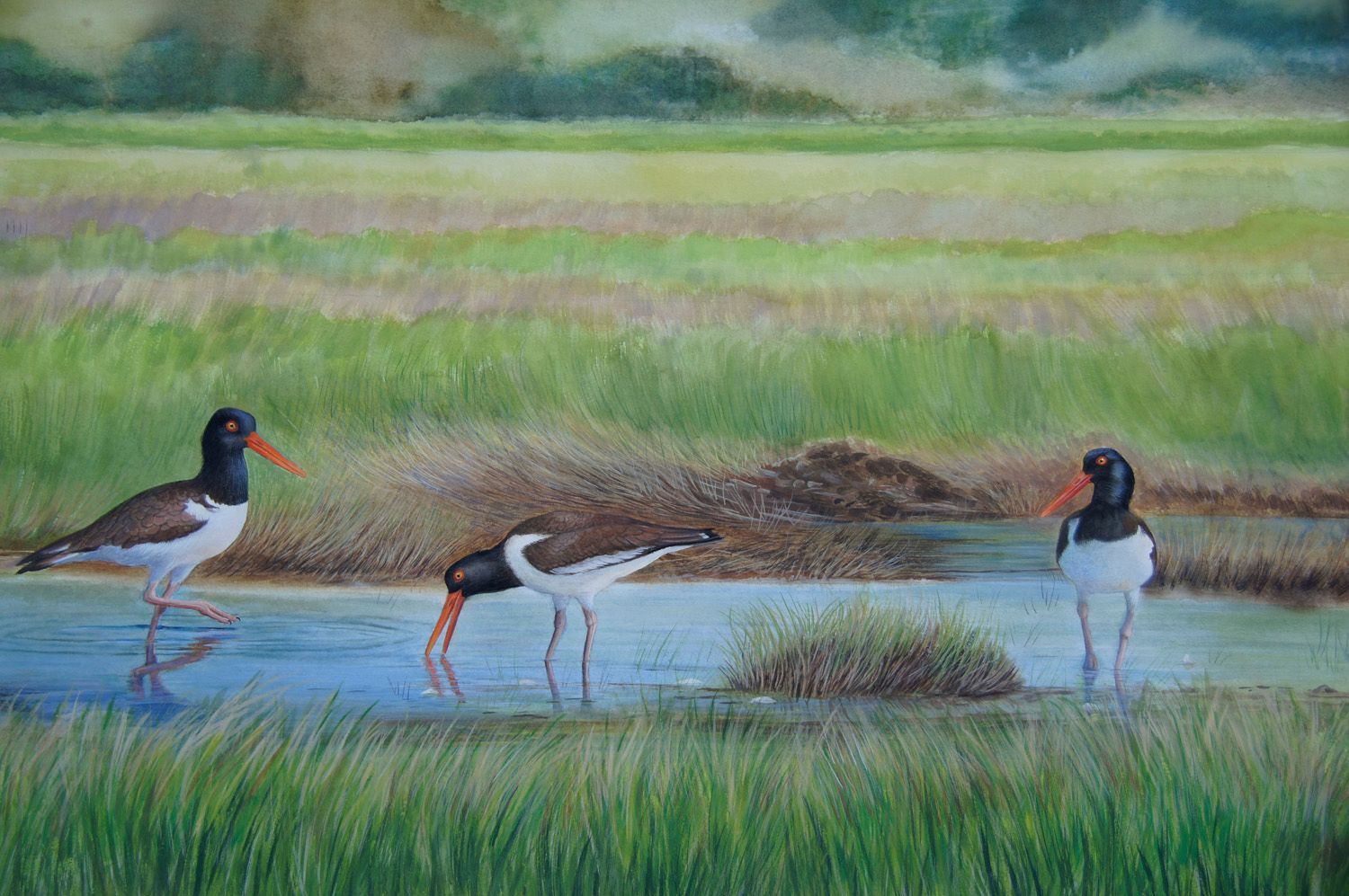 A smiling person with shoulder-length hair wearing a black jacket and a colorful striped scarf outdoors among trees.