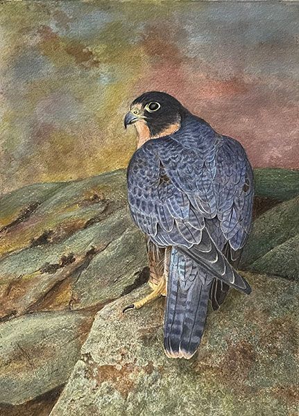 A bird stands on a mossy, rocky ledge against a painted, sunset-toned sky.