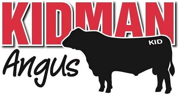 Kidman Angus — Purchase Purebred Angus Bulls In The Dubbo Region