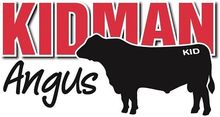 Kidman Angus — Purchase Purebred Angus Bulls In The Dubbo Region