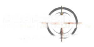 Mechanic in Murwillumbah