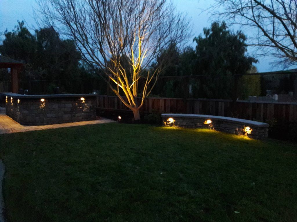 A backyard with a tree lit up at night