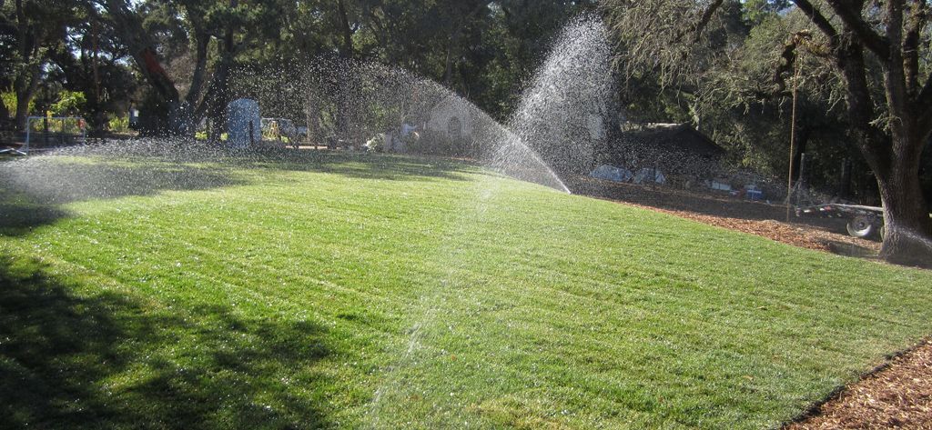A sprinkler is spraying water on a lush green lawn.