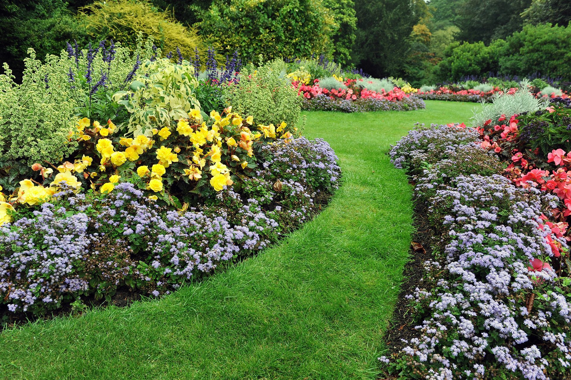 There are many different types of flowers in the garden.