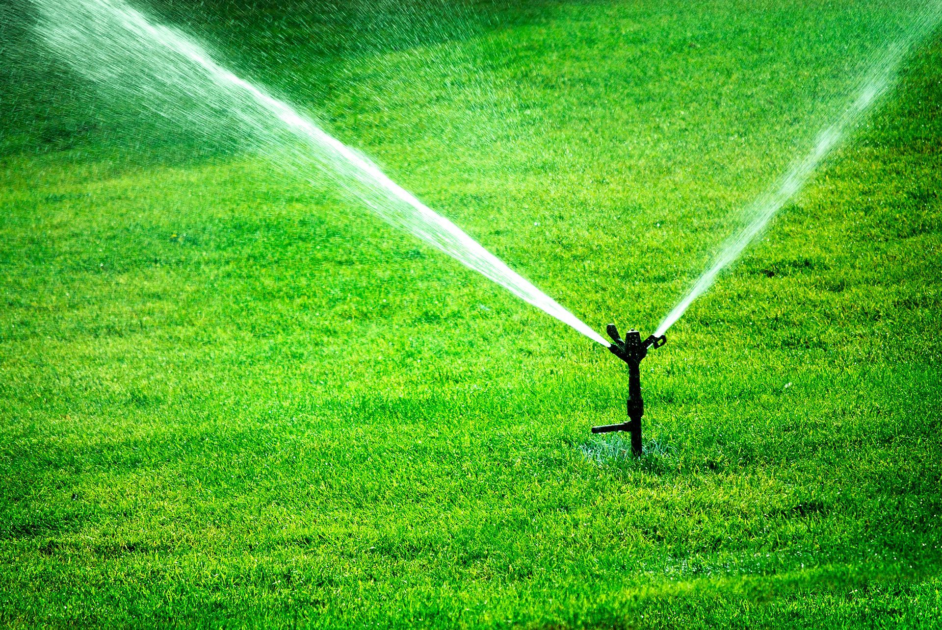 A sprinkler is spraying water on a lush green lawn.