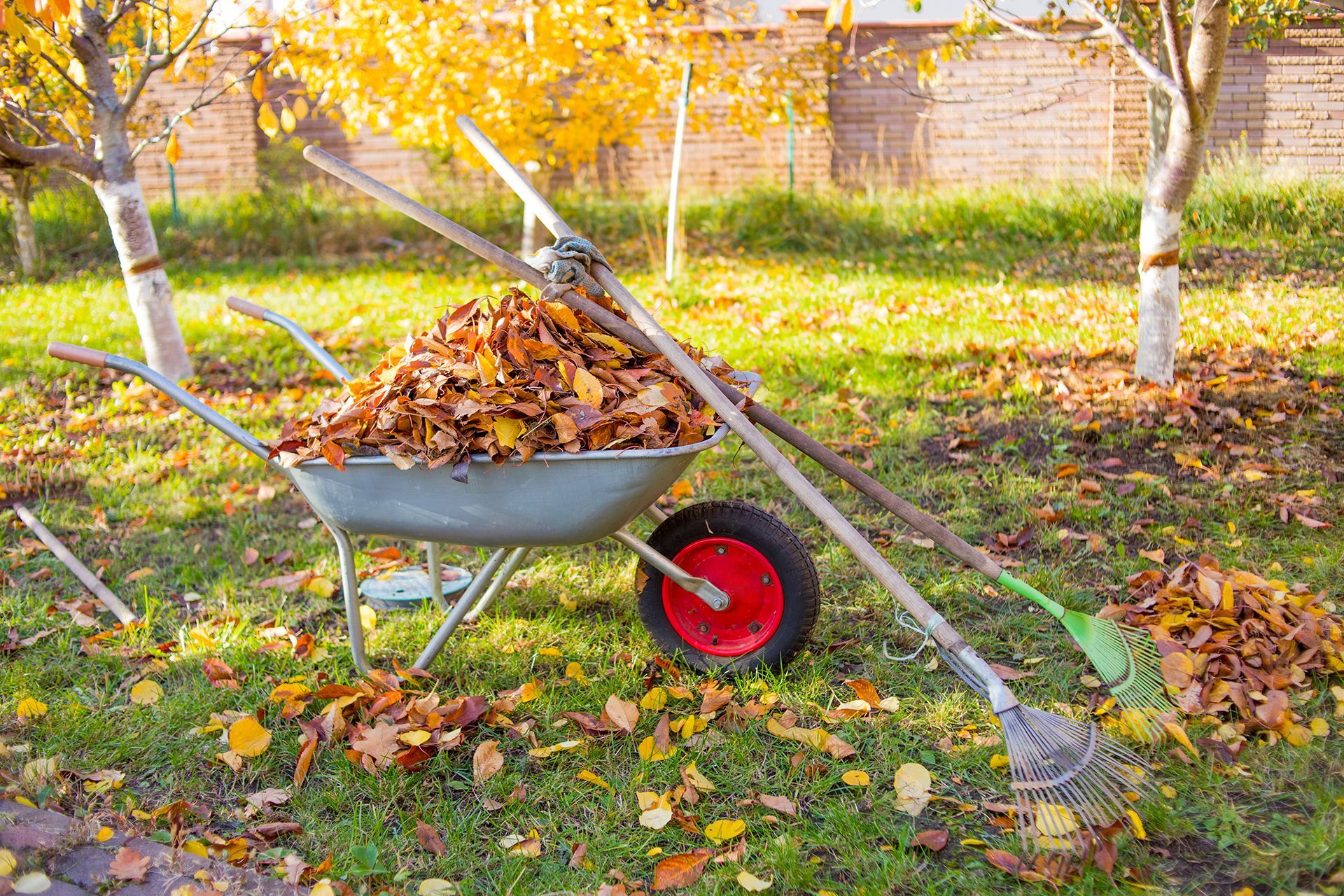 A wheelbarrow filled with leaves and gardening tools.