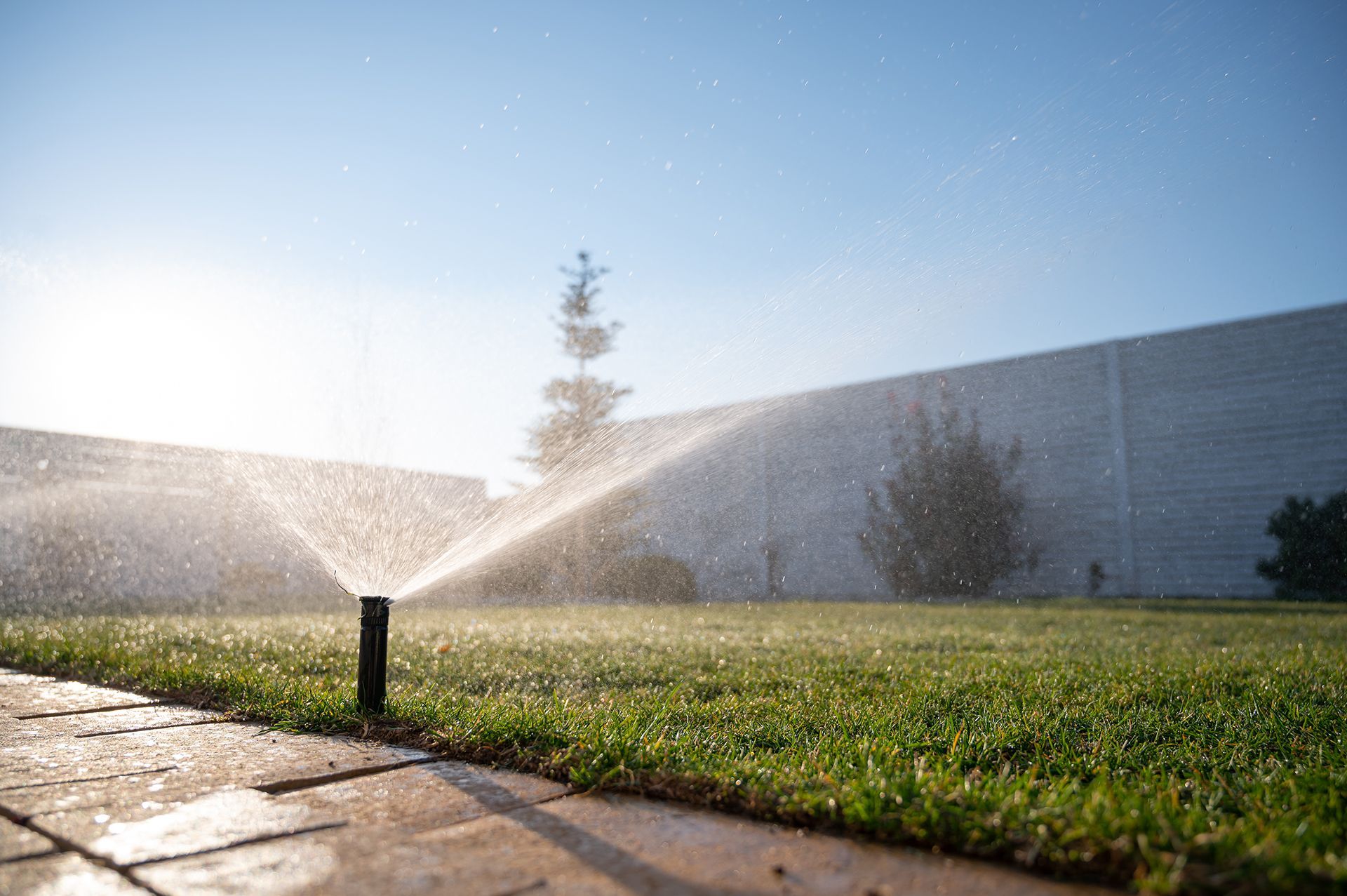 A sprinkler is spraying water on a lush green lawn.