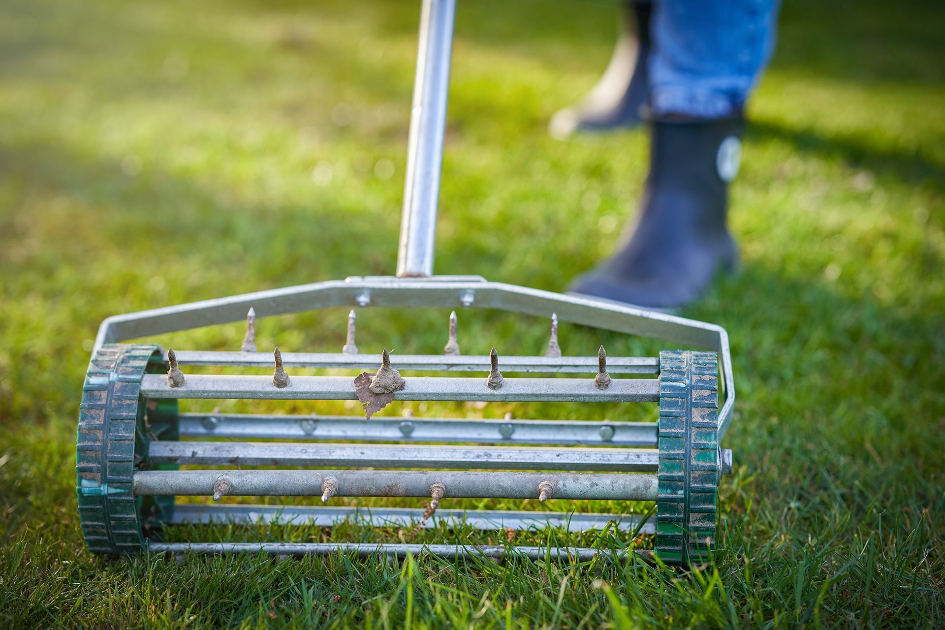 A person is using an aerator on a lush green lawn.