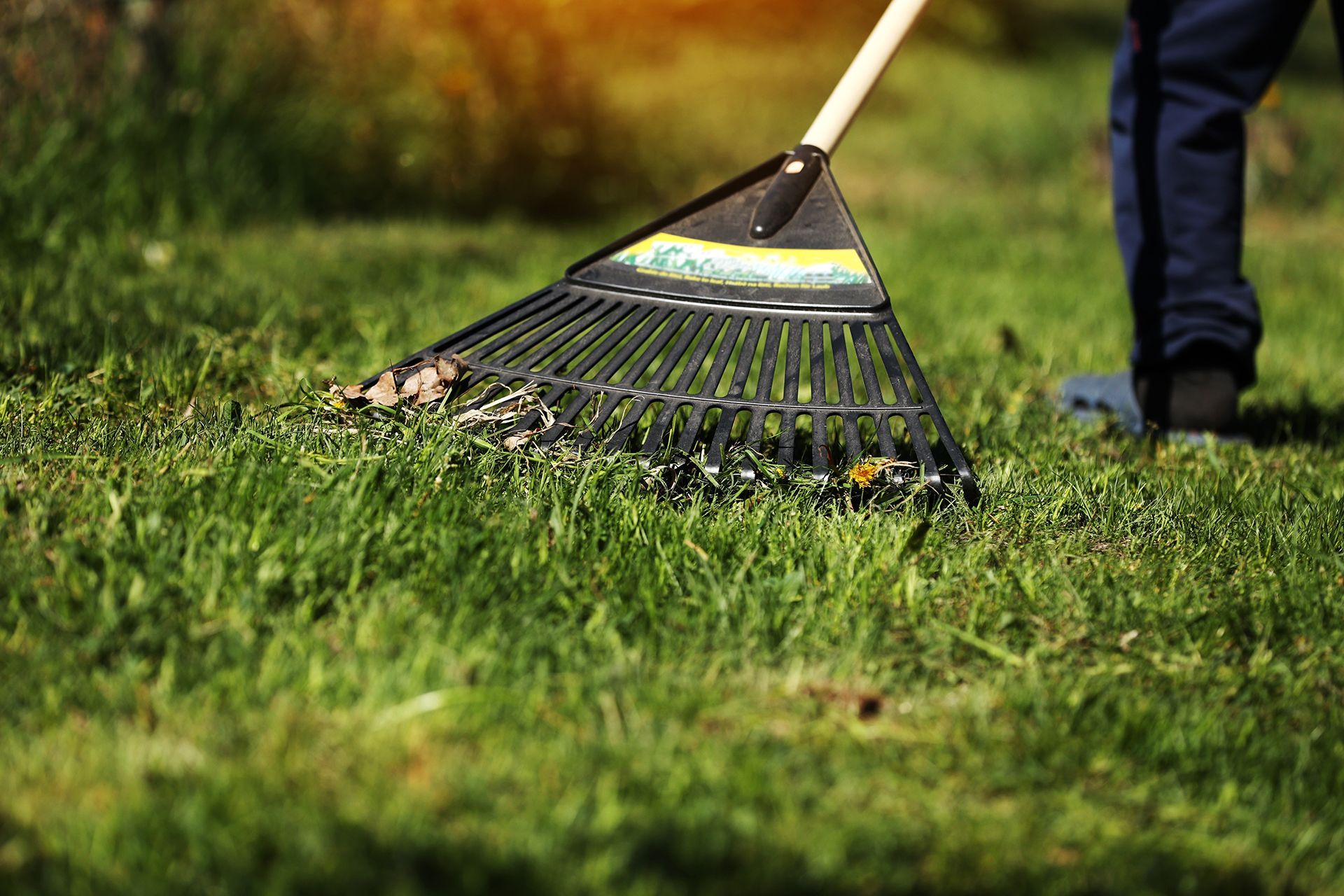 A person is raking the grass with a rake.