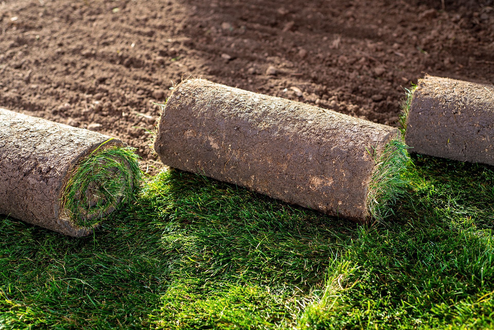 Three rolls of turf are sitting on top of a pile of grass.