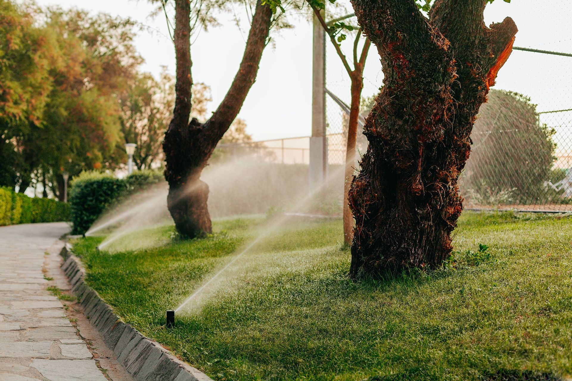 A sprinkler is spraying water on a lush green lawn in a park.