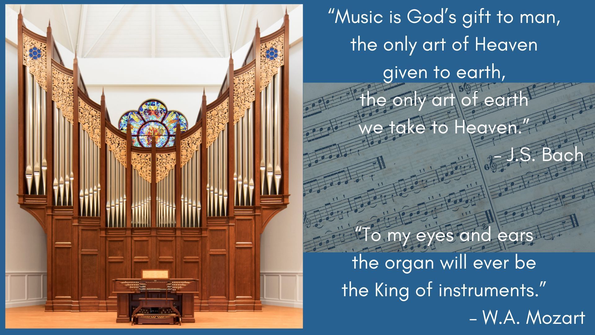 Organ presentation