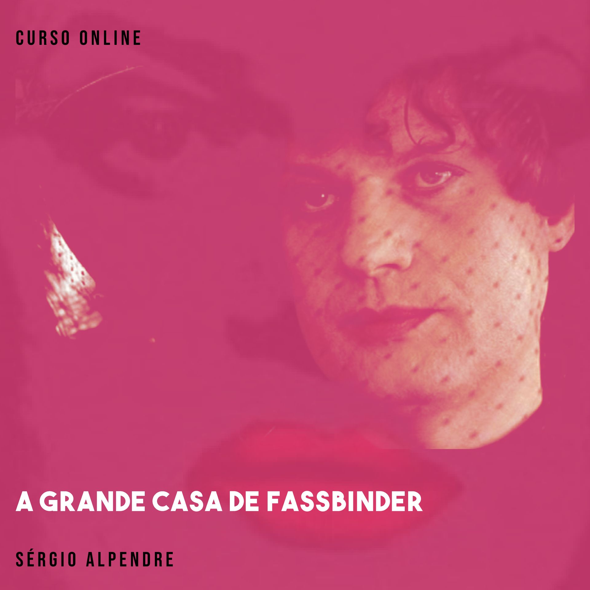 Um fundo rosa com o rosto de um homem e as palavras a grande casa de fassbinder