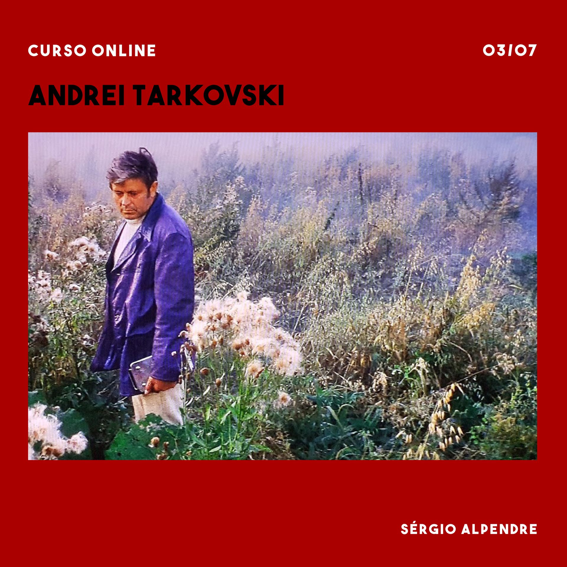 Um homem de jaqueta azul está parado em um campo de flores.