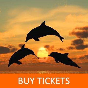 Sunset Dolphin Cruise on Hilton Head Island, SC