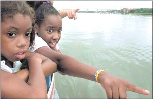 Excited girl is first to spot dolphins ﻿﻿﻿(Hilton Head Dolphin & Nature Tours by Sonny C Charters)