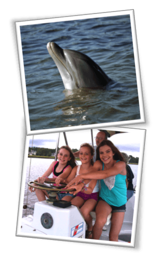 Our Hilton Head Dolphin Cruise and Tour is a true dolphin watching discovery adventure.  Enjoy our day cruise eco tour and see wild bottlenose dolphins, pelicans, egrets, osprey, bald eagles and more on the dolphin tour adventure experience of a lifetime.